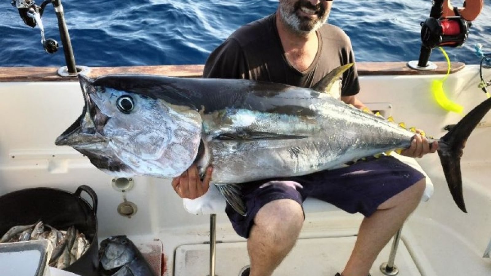 Atún rojo junto al barco durante una captura y suelta responsable en la pesca de altura