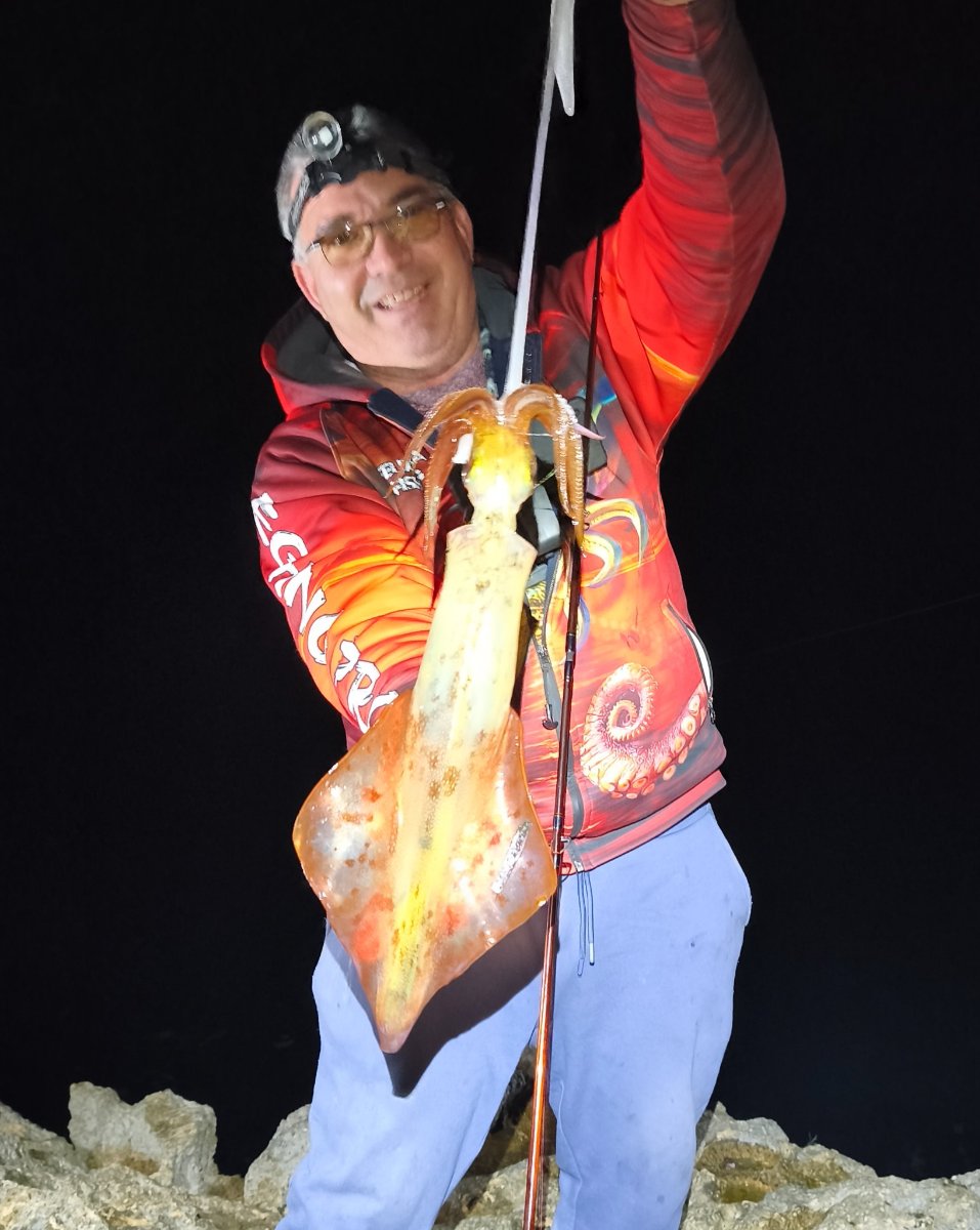 Alternativas a WeFish en 2026: cómo elegir con criterio y sin ruido