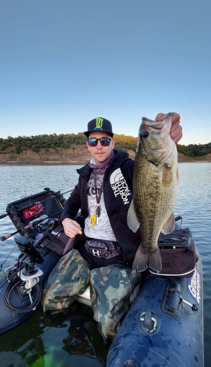 Licencia de pesca submarina en España 2026: requisitos