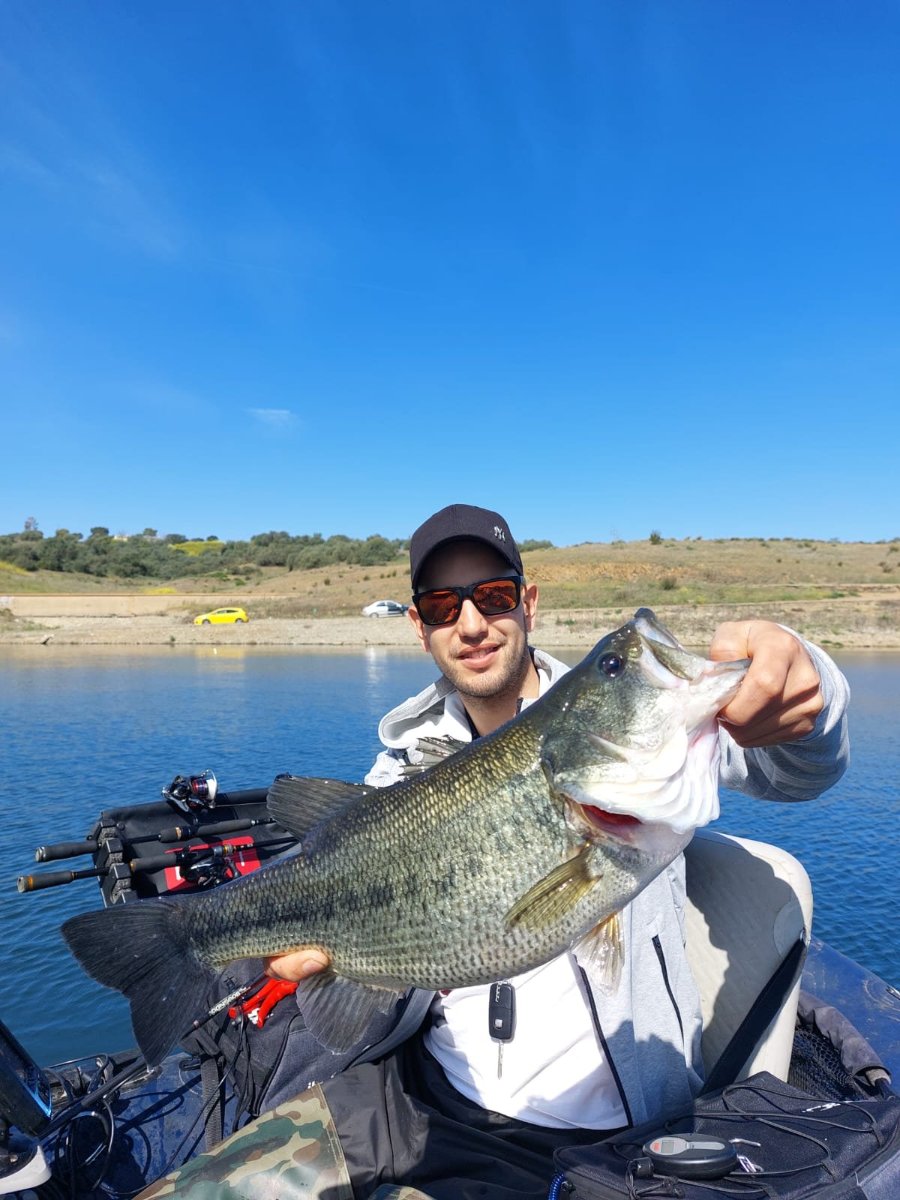 Mejores señuelos para black bass: cuáles comprar
