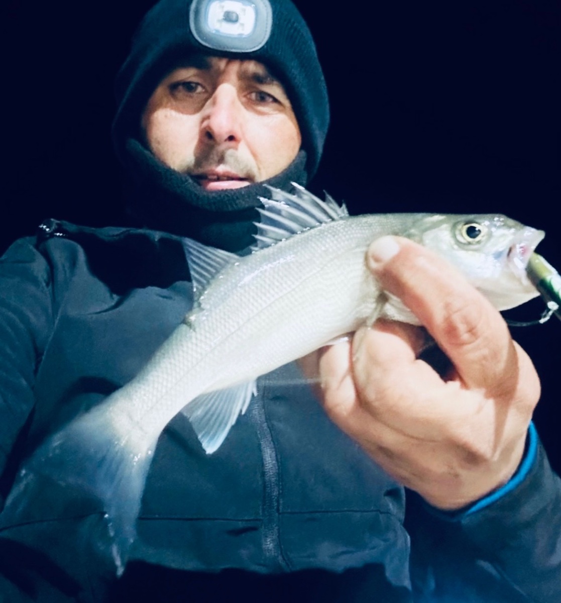 Obtener la licencia de pesca en Castilla-La Mancha por internet: gratis para empadronados, trámite en DIANA