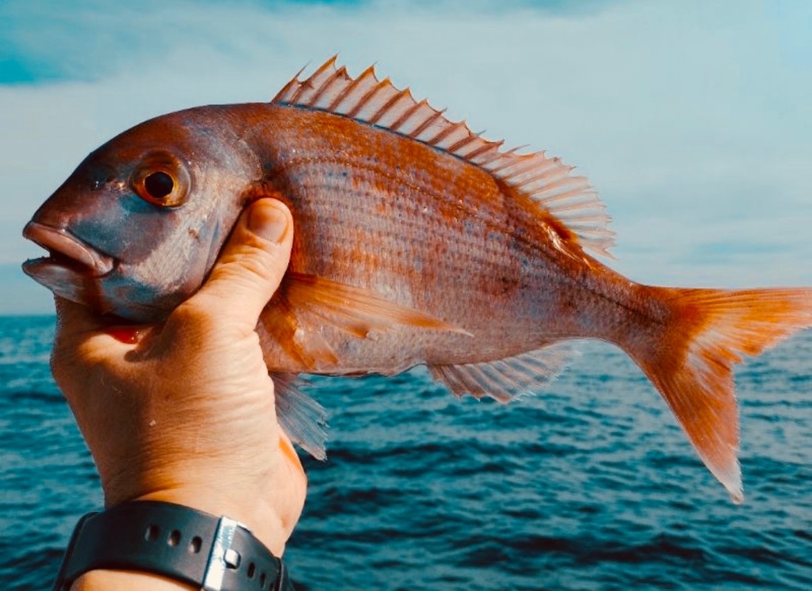 Pescador principiante lanzando desde la costa española al amanecer