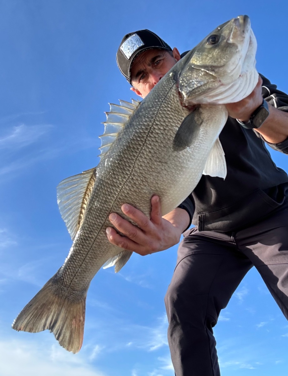 Captura de lubina en AiPeces usada en comparativa de apps de pesca
