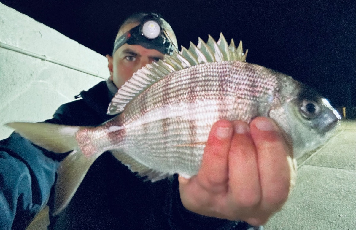 Pesca en la Comunidad Valenciana: guía completa 2026