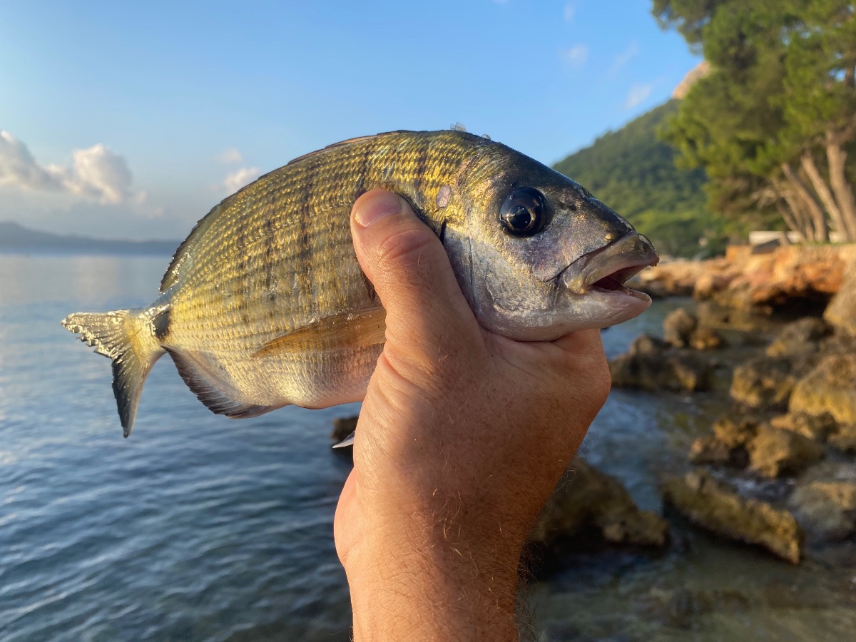 Sonda-plotter Lowrance HDS Pro con pantalla SolarMAX HD montada en la consola de un barco de altura