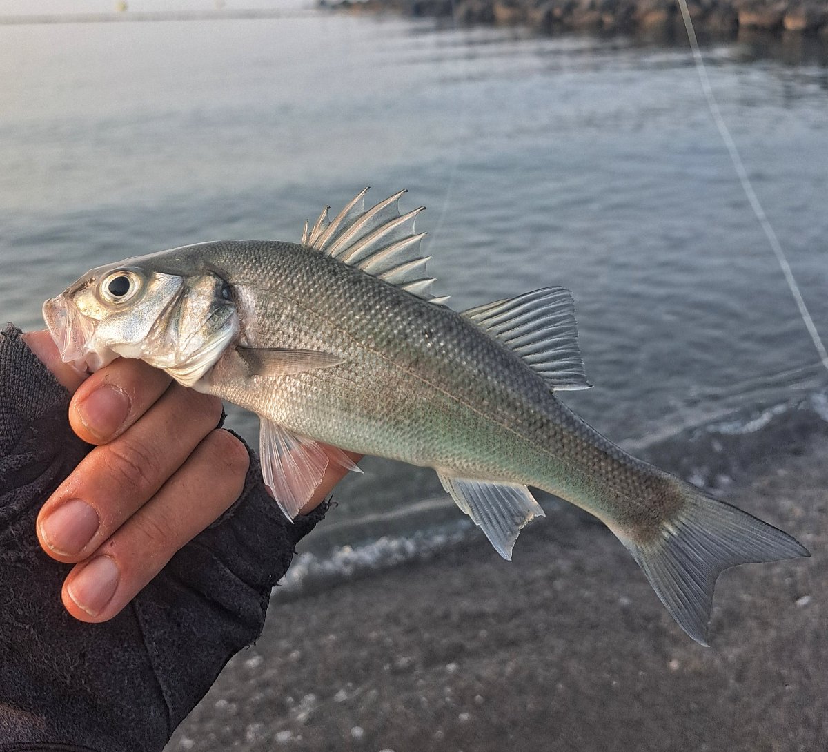 Pescador con licencia federativa y una embarcación de recreo al fondo, ilustrando los seguros de pesca