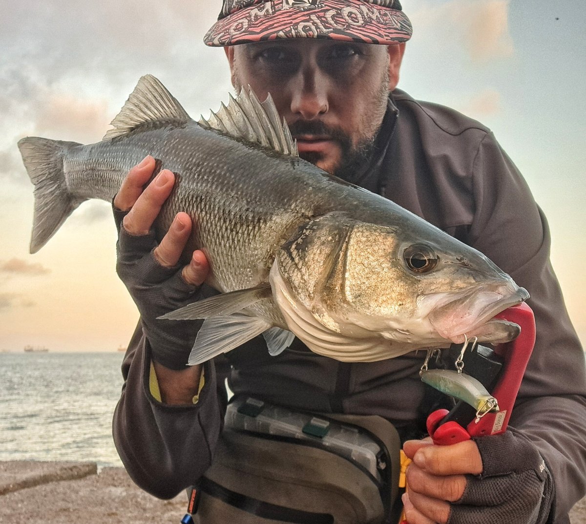 Cuándo pican los peces: qué condiciones influyen (y cuánto de cierto hay)