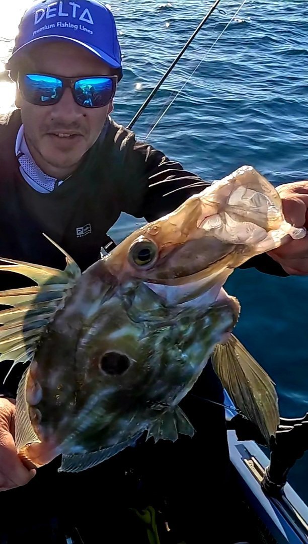 Pez de San Pedro (Zeus faber) capturado por F. de Paula en Murcia