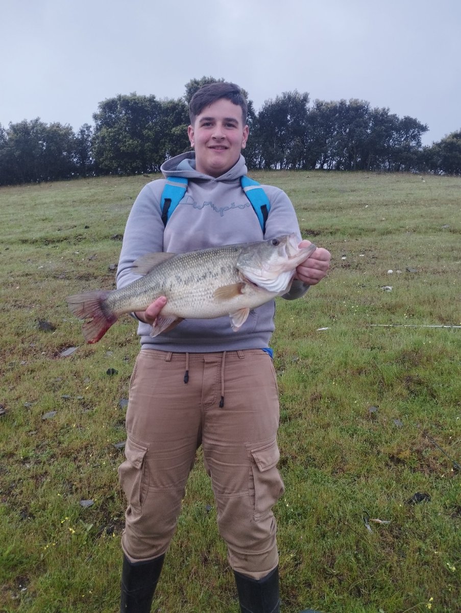 Los 5 mejores señuelos para el black bass (datos)