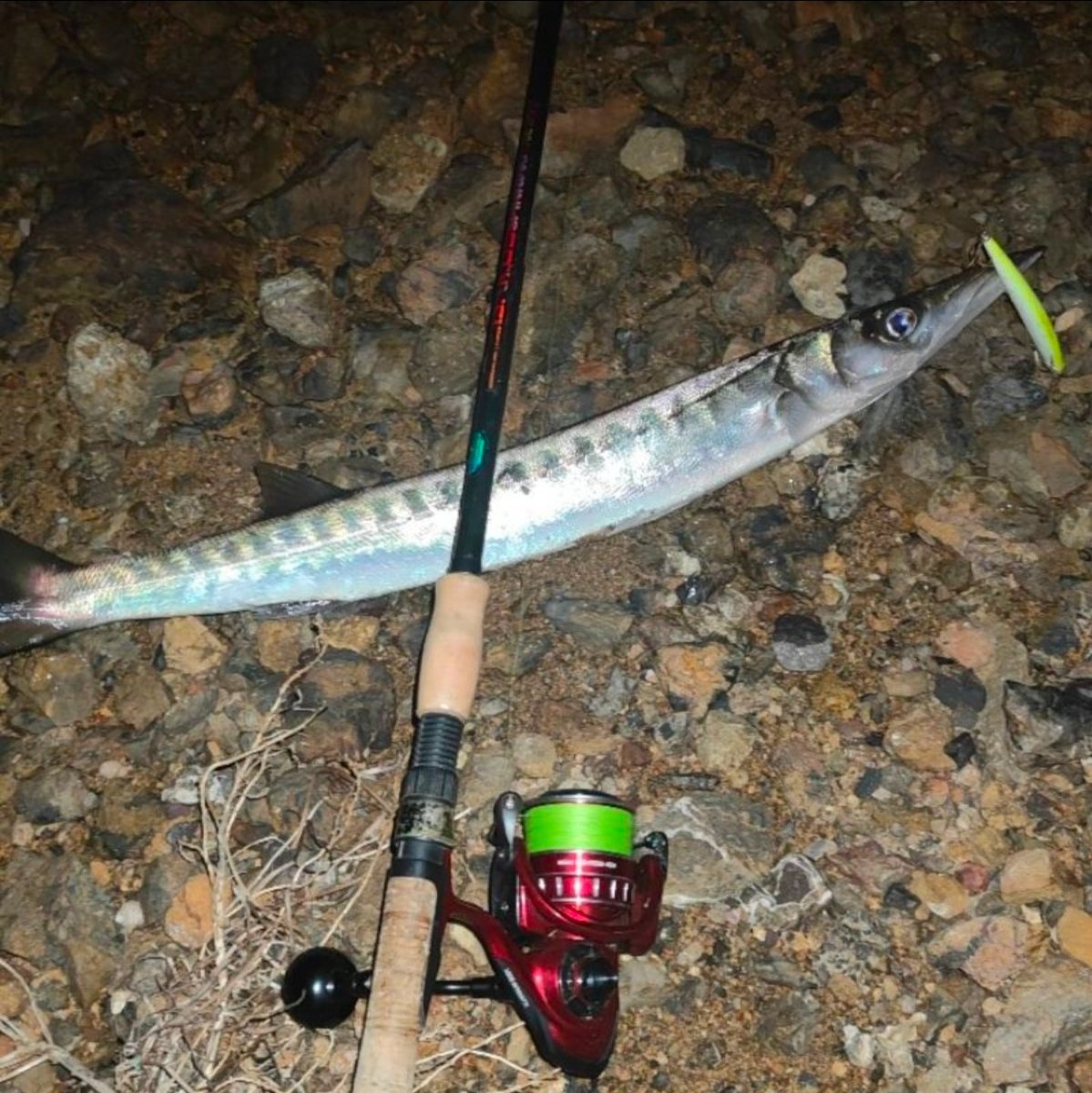 Calendario de pesca: qué pescar cada mes en España