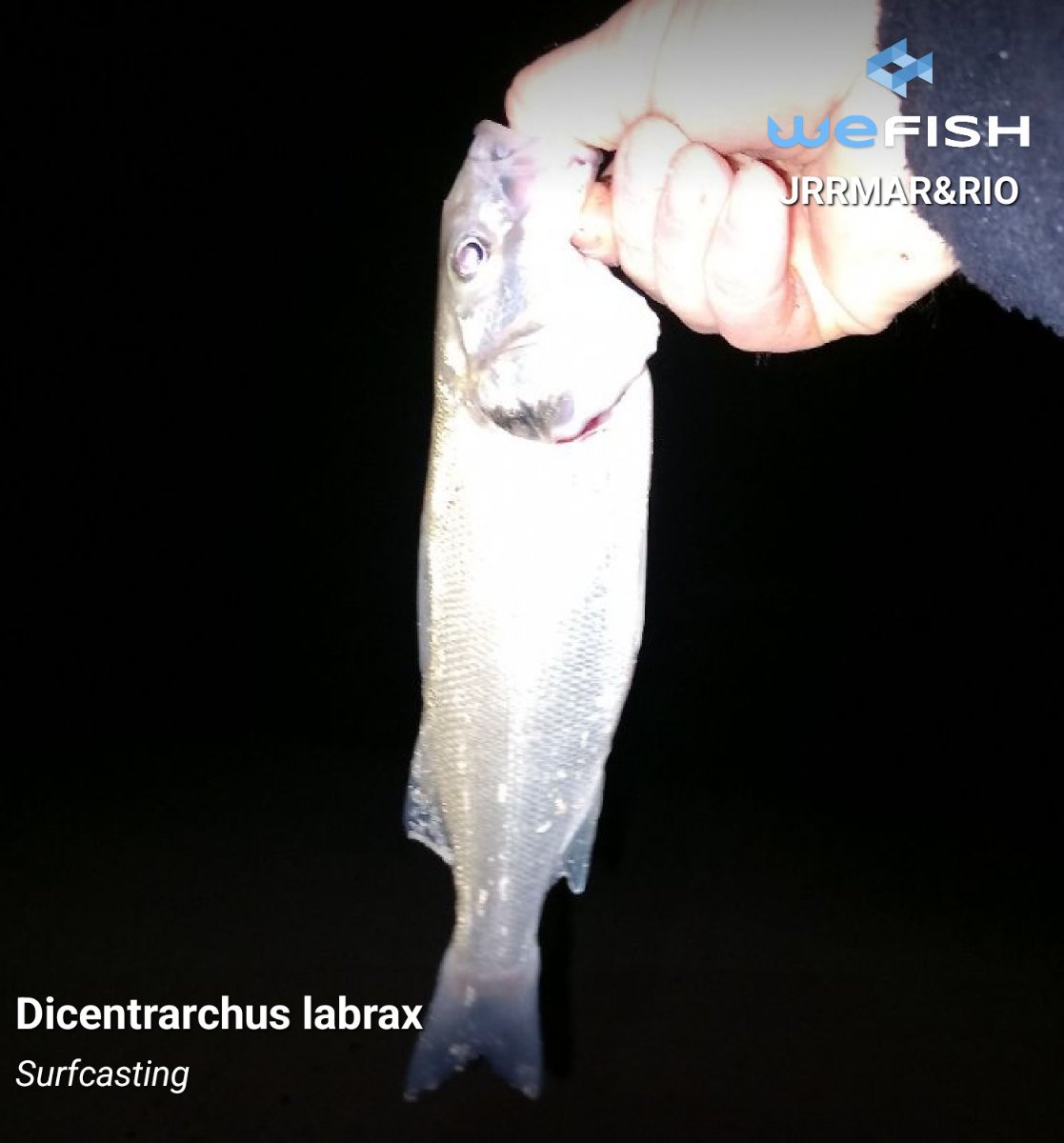 Pesca en La Rioja: trucha de sierra y el Ebro — 2026