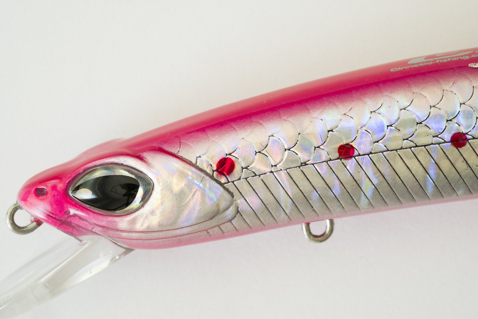 Señuelo minnow flotante Cinnetic Crafty Minnow 150F con cabeza afilada y ojos grandes